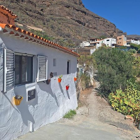 Casa Rural Los Pinares El Juncal De Tejeda Dış mekan fotoğraf
