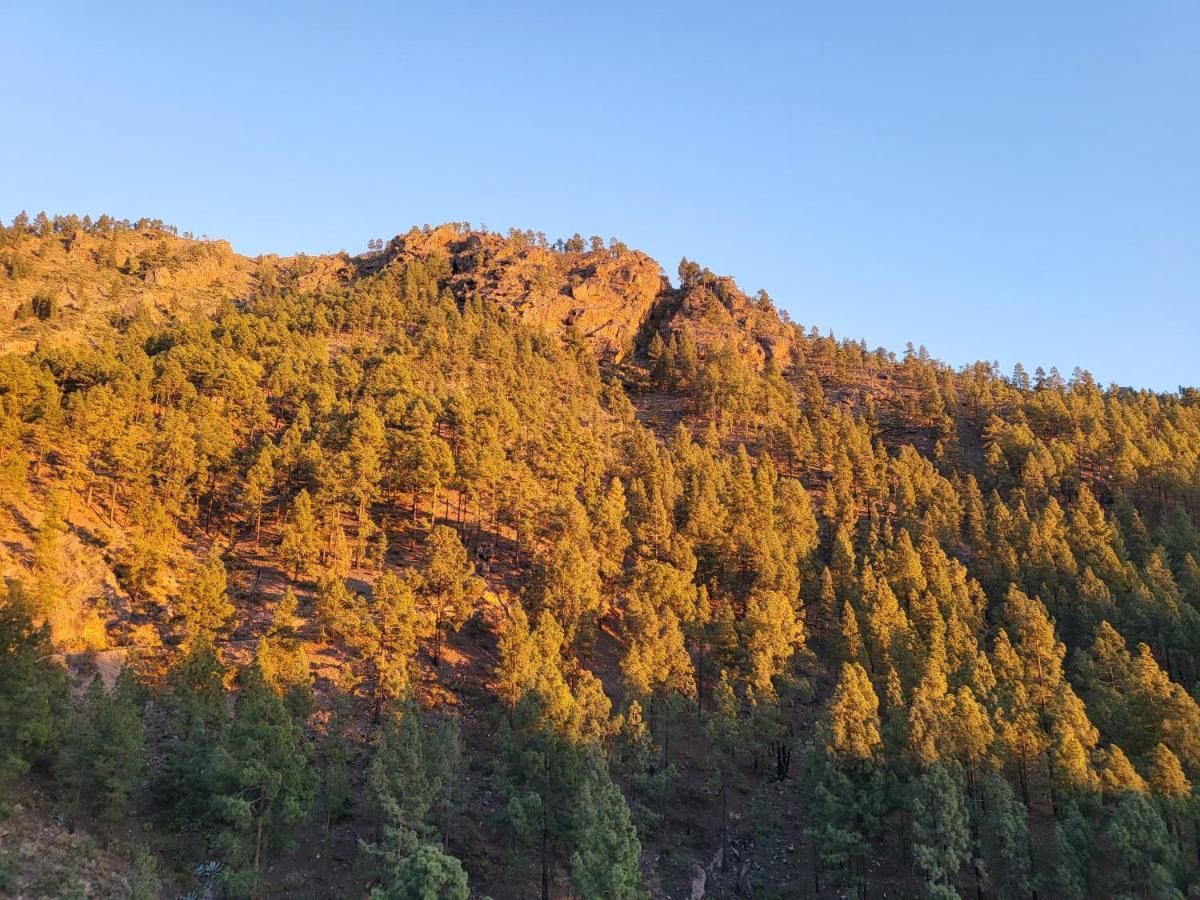 Casa Rural Los Pinares El Juncal De Tejeda Dış mekan fotoğraf