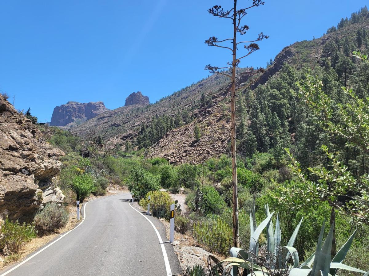 Casa Rural Los Pinares El Juncal De Tejeda Dış mekan fotoğraf