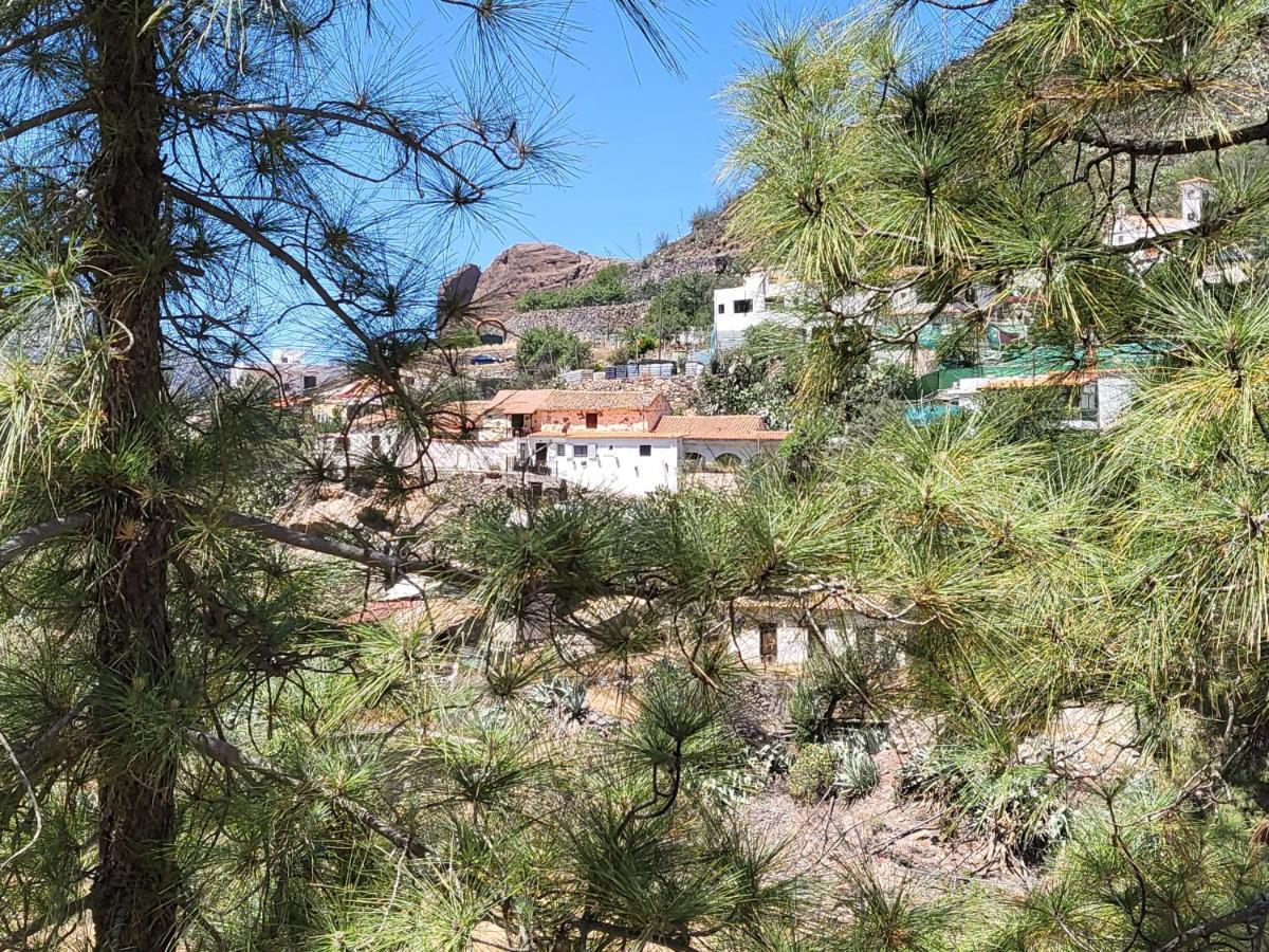 Casa Rural Los Pinares El Juncal De Tejeda Dış mekan fotoğraf