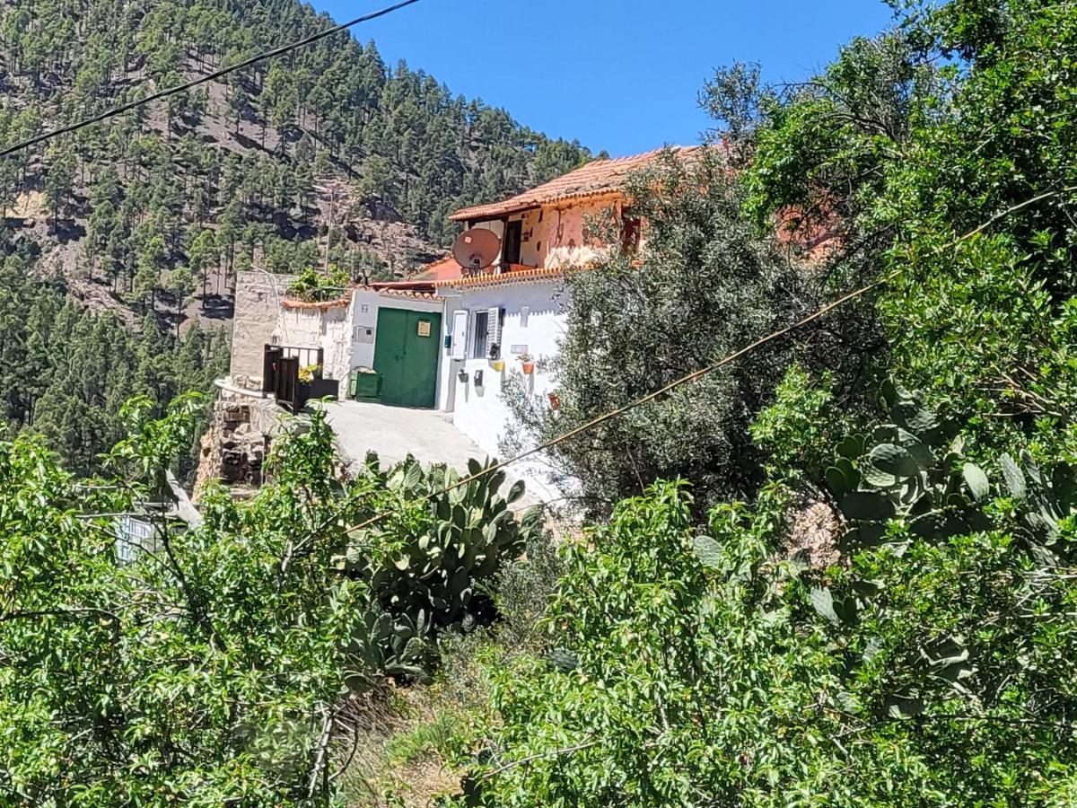 Casa Rural Los Pinares El Juncal De Tejeda Dış mekan fotoğraf