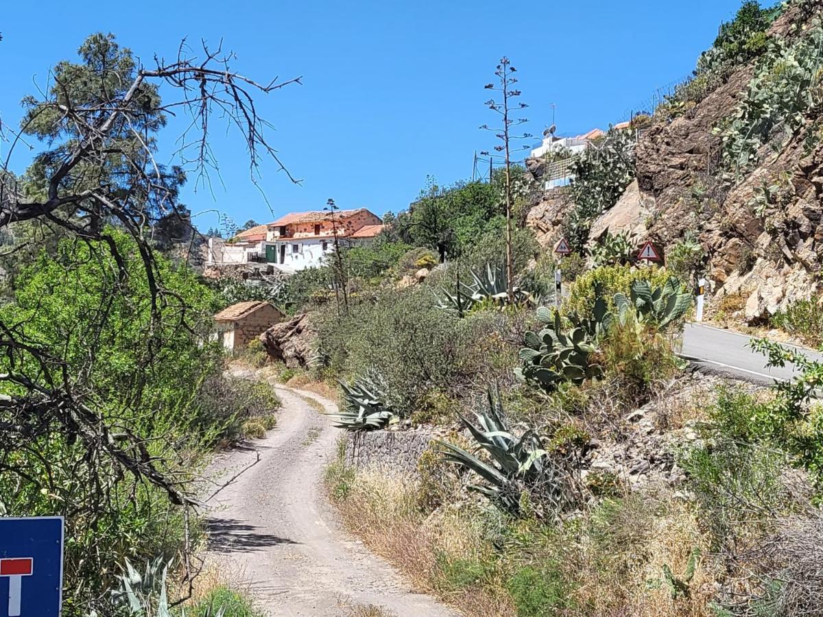 Casa Rural Los Pinares El Juncal De Tejeda Dış mekan fotoğraf