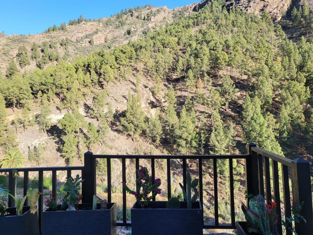 Casa Rural Los Pinares El Juncal De Tejeda Dış mekan fotoğraf