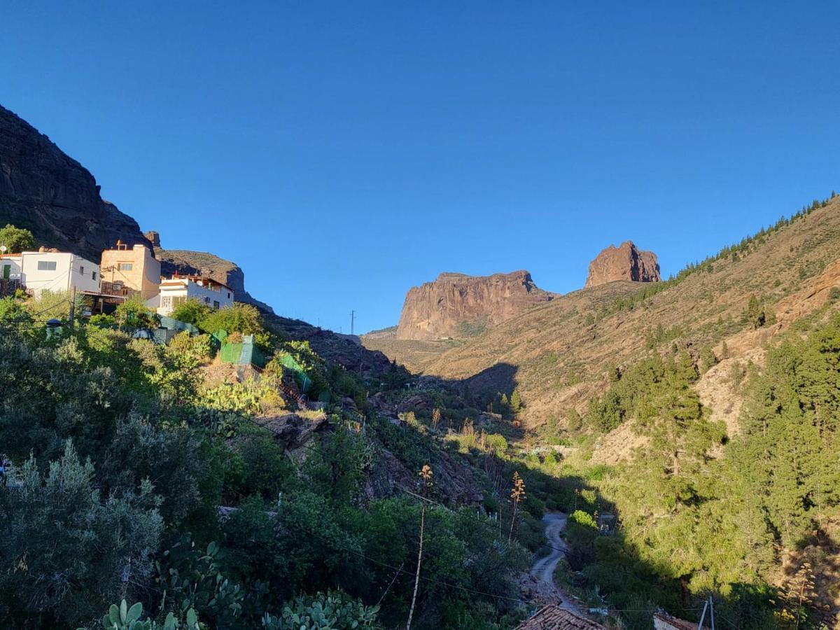 Casa Rural Los Pinares El Juncal De Tejeda Dış mekan fotoğraf