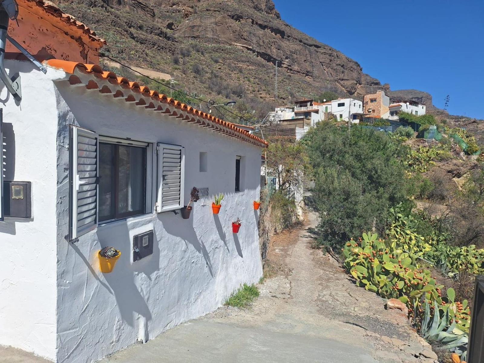 Casa Rural Los Pinares El Juncal De Tejeda Dış mekan fotoğraf